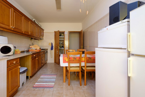 Really nice single bedroom in the popular Norton de Matos neighbourhood