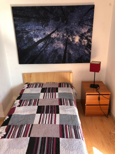 Single bedroom in 5-bedroom apartment - Gallery - 20