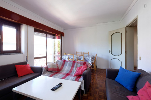 Single bedroom in 5-bedroom apartment - Gallery - 12