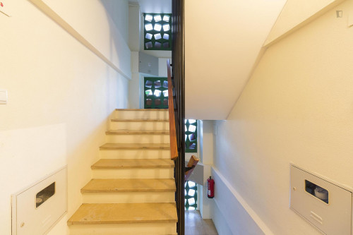 Modest single bedroom in a 4-bedroom apartment near Instituto Superior de Engenharia de Coimbra - Gallery - 6