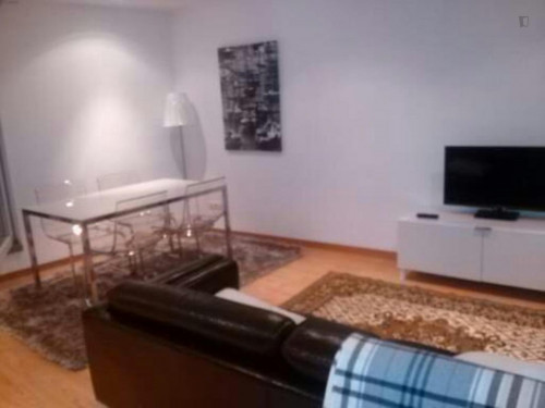 Nice and cosy 1-bedroom apartment in the city center of Braga  - Gallery -  3