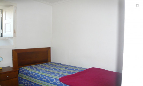 Cozy single room close to Praça da República