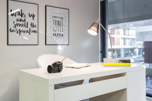 Luxury Urban Loft in safe neighborhood in the business center  - Gallery -  5