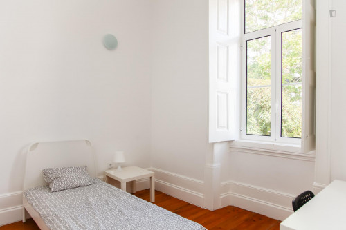 Pretty single bedroom near Universidade de Coimbra - Gallery - 33