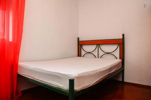 Very neat single bedroom in the Norton de matos neighbourhood  - Gallery -  2
