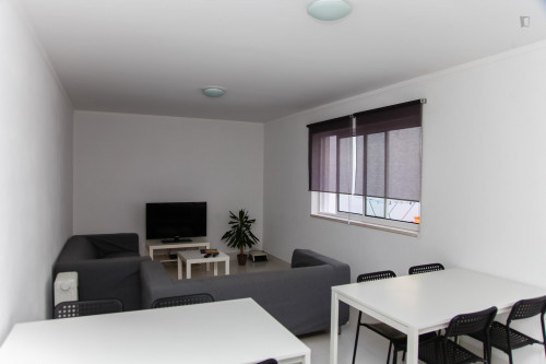 Very cute single bedroom near Universidade de Coimbra - Gallery - 33