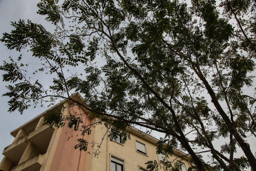 Single bedroom in Coimbra - Celas