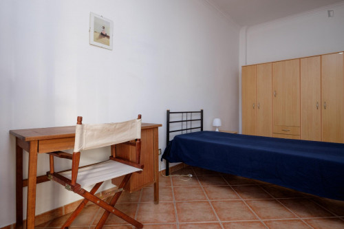 Comfortable single bedroom close to Instituto Superior de Engenharia de Coimbra - Gallery - 19