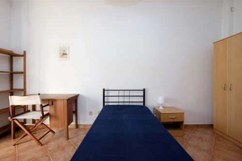Comfortable single bedroom close to Instituto Superior de Engenharia de Coimbra - Gallery - 16