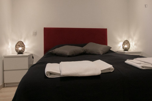 Comfortable Studio Close To Universidade De Coimbra - 1