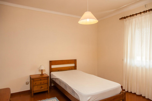 Cosy single bedroom in typical Conchada neighbourhood