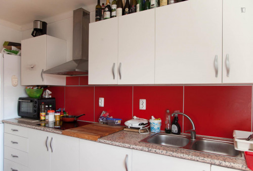 Comfortable single bedroom minutes away from Universidade de Coimbra  - Gallery -  5