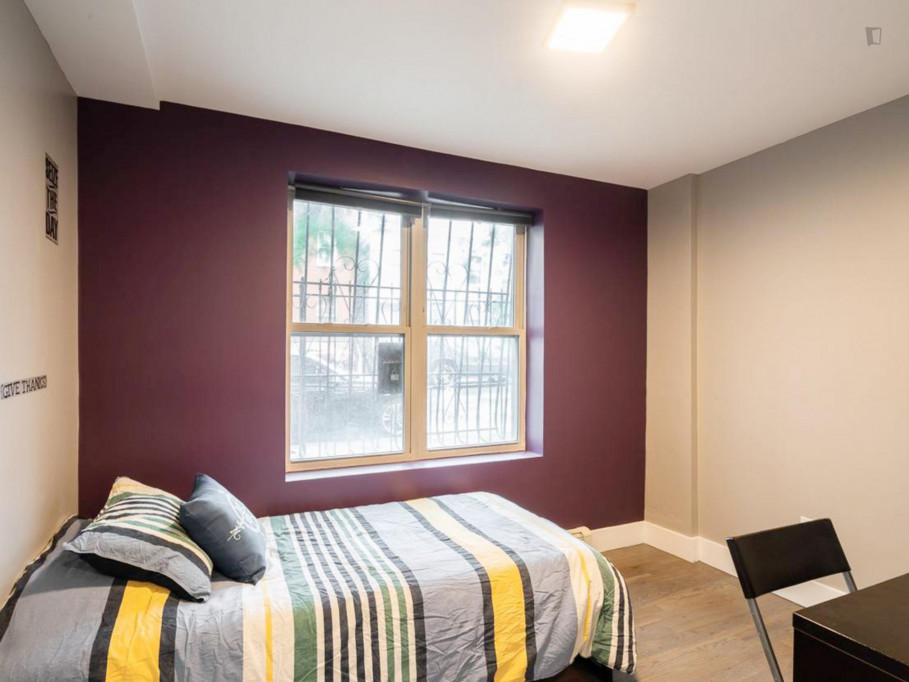 Double bedroom in a 3-bedroom apartment Bushwick
