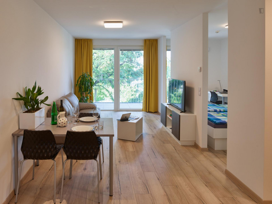 Great lookin 1-bedroom flat in Vienna
