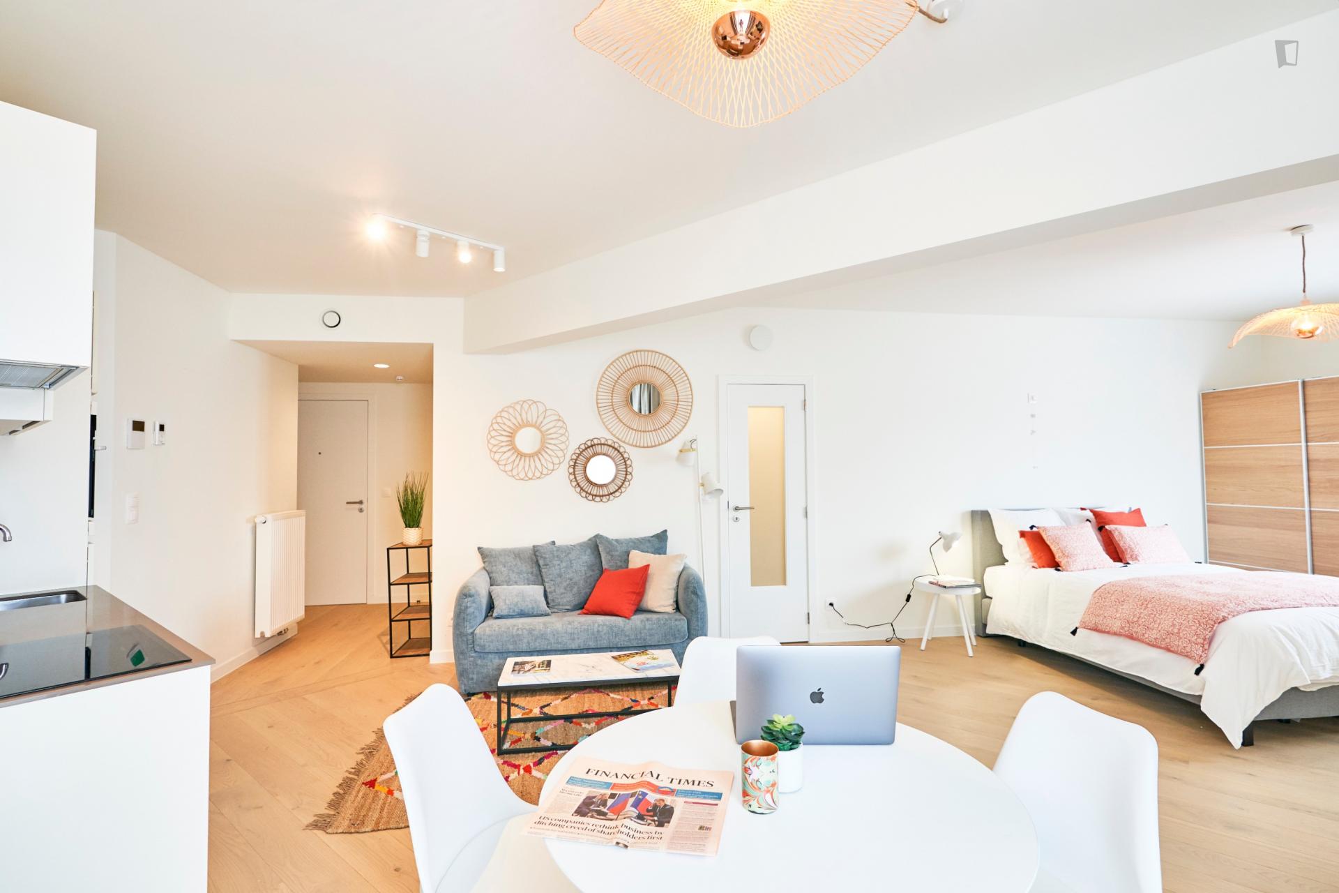 Stylish studio apartment in Brussels