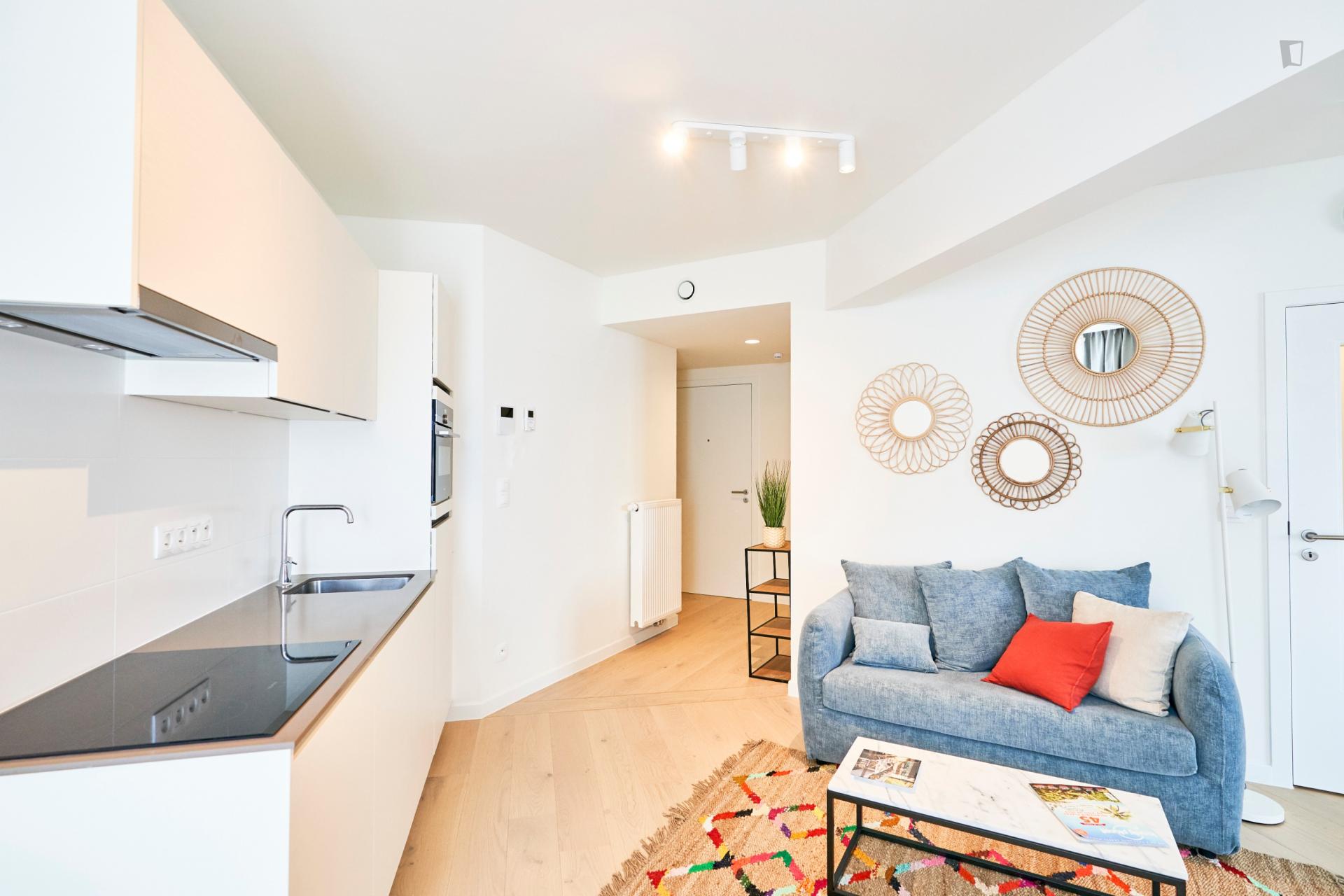 Stylish studio apartment in Brussels