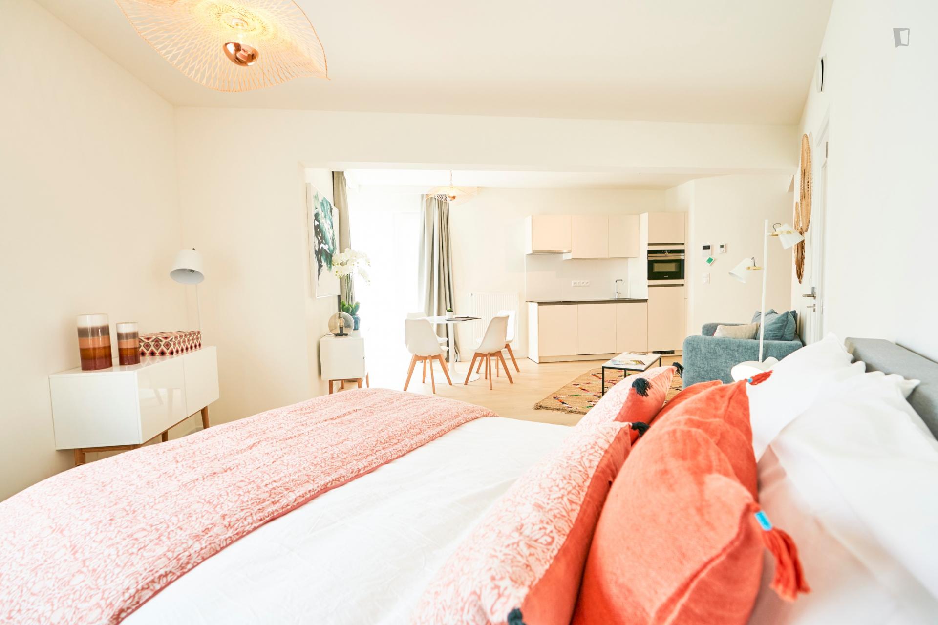Stylish studio apartment in Brussels