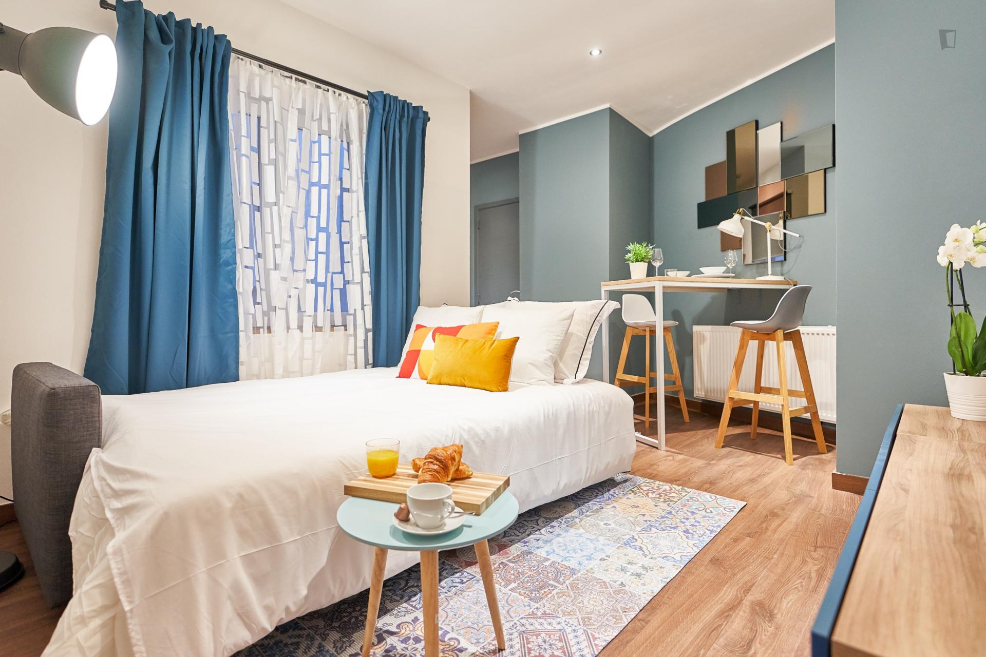 Small  Convenient Studio Apartment