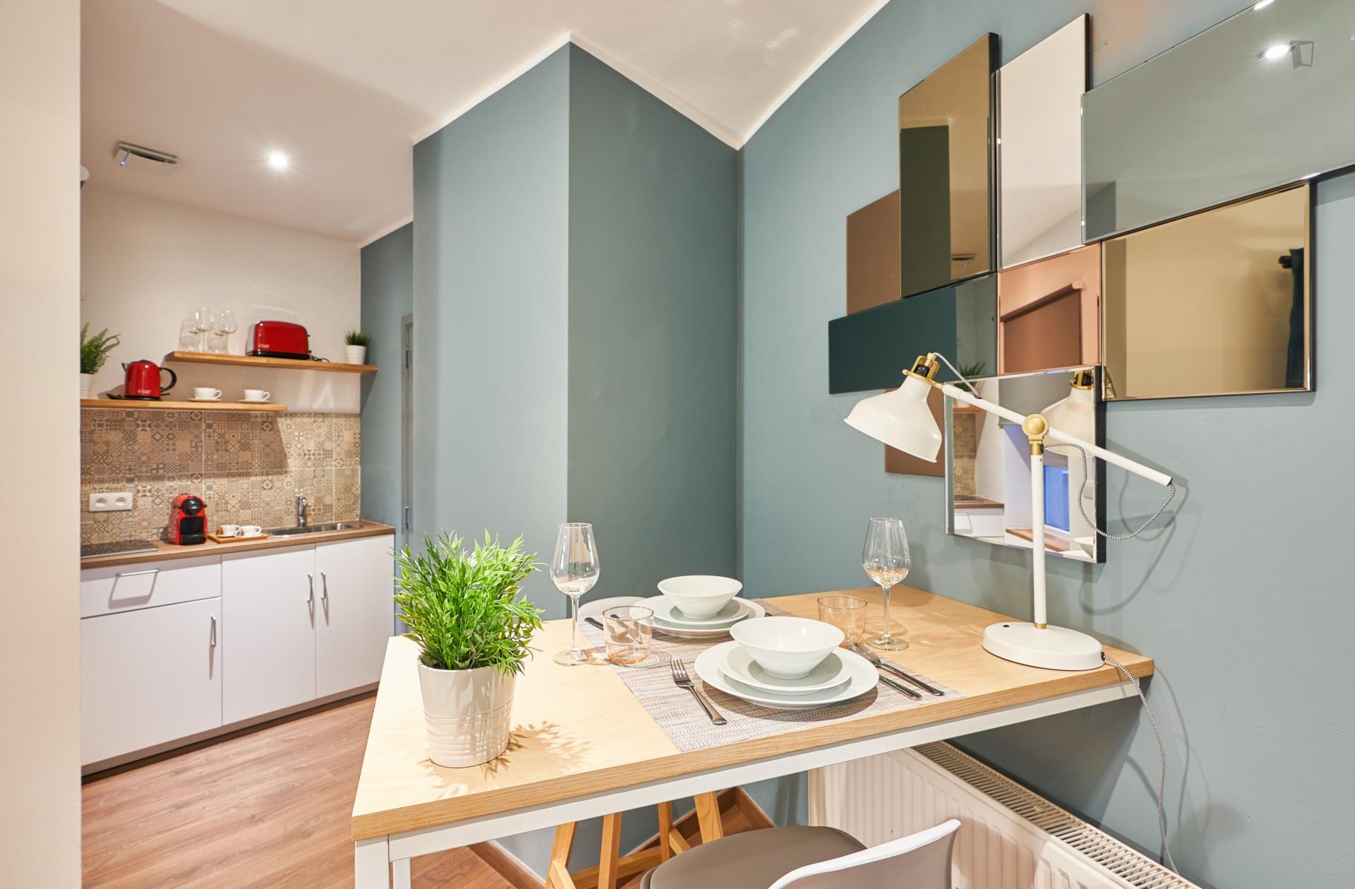 Small  Convenient Studio Apartment