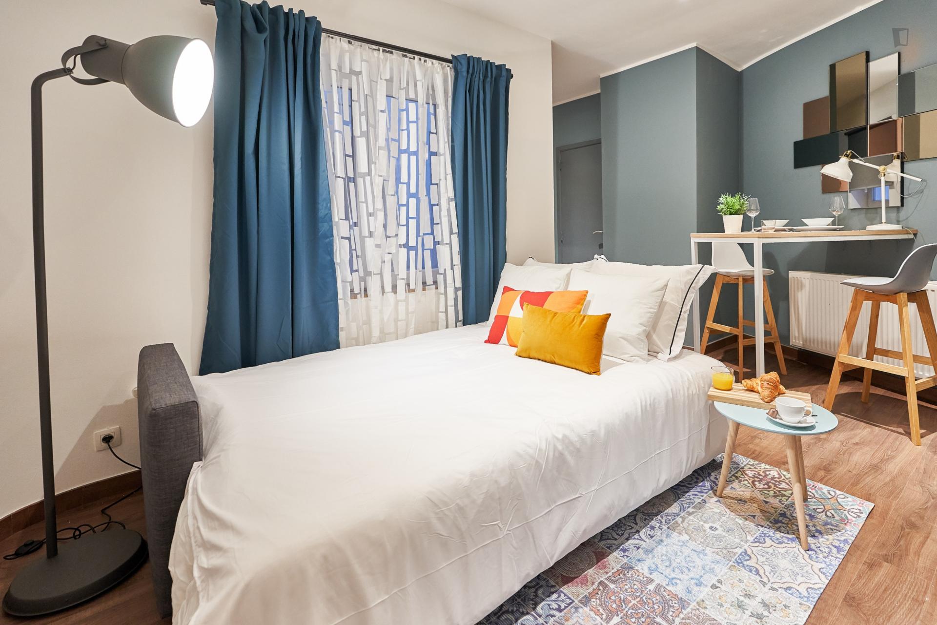 Small  Convenient Studio Apartment