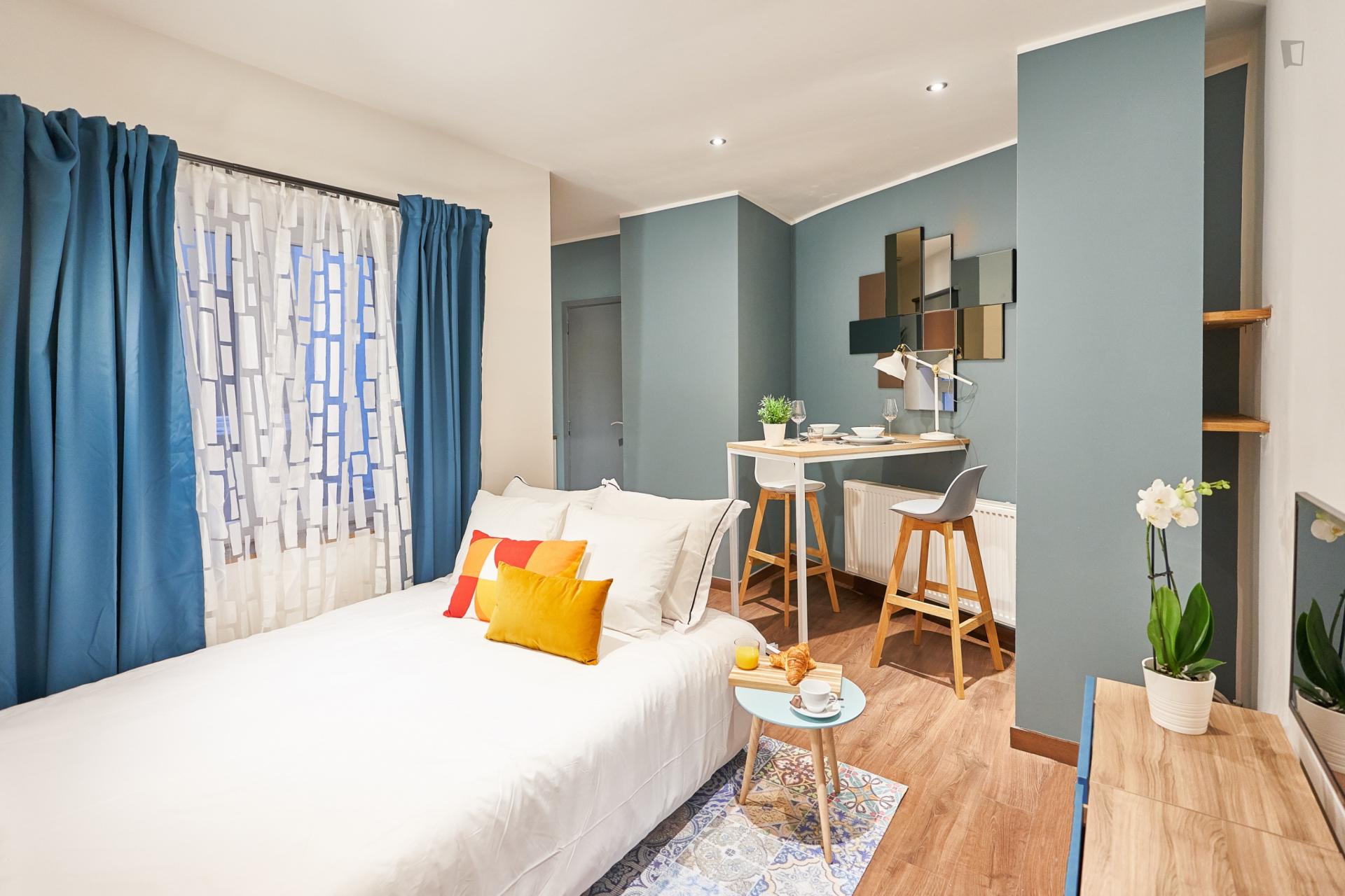 Small Convenient Studio Apartment