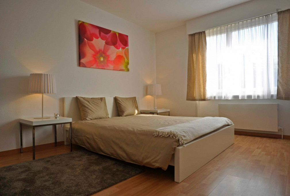 incredible 1-bedroom flat in Lausanne