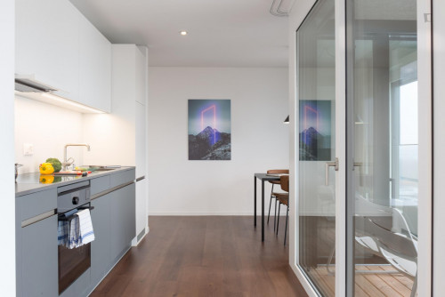 Admirable studio near the Altstetten train station