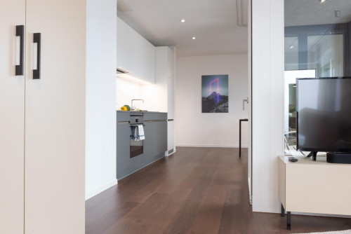 Admirable studio near the Altstetten train station