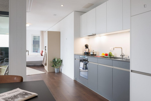 Admirable studio near the Altstetten train station