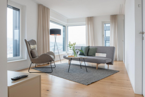 Welcoming 1-bedroom apartment in Altstetten  - Gallery -  3