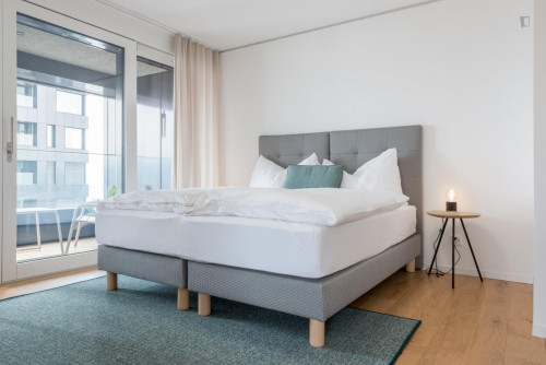 Welcoming 1-bedroom apartment in Altstetten  - Gallery -  1