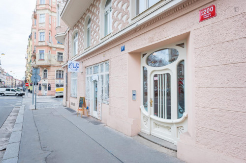 Lovely studio near Zborovská trams stop