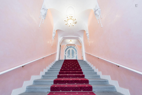 Lovely studio near Zborovská trams stop