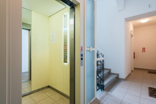 Lovely studio near Zborovská trams stop  - Gallery -  5