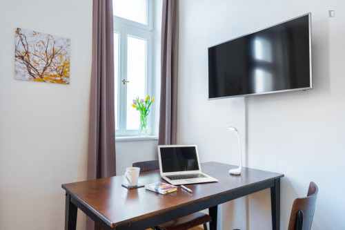 Lovely studio near Zborovská trams stop - Gallery - 15