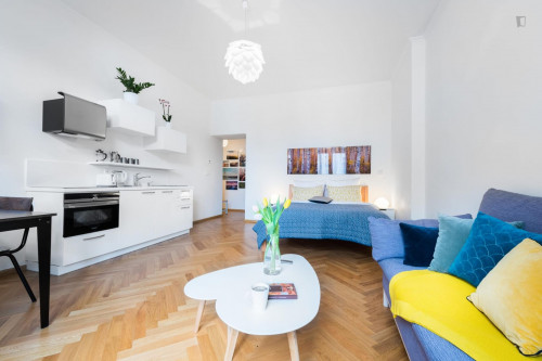  Lovely Studio Near Zborovská Trams Stop  -  Lovely studio near Zborovská trams stop  - Gallery -  2