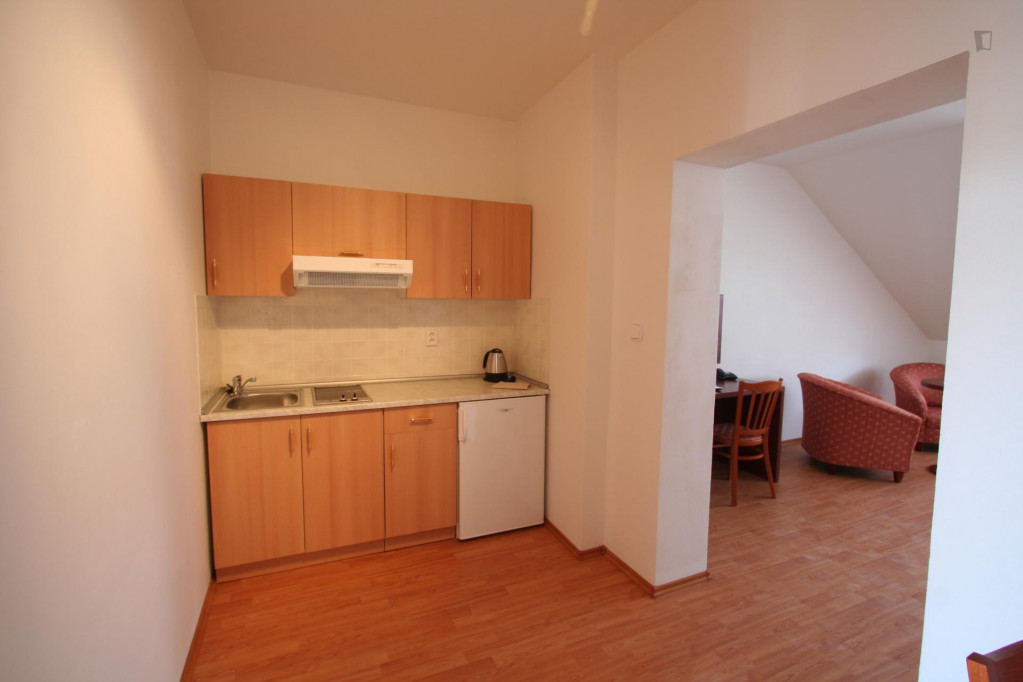 1-Bedroom apartment in a residence near Jana Masaryka transport stop  - Gallery -  4