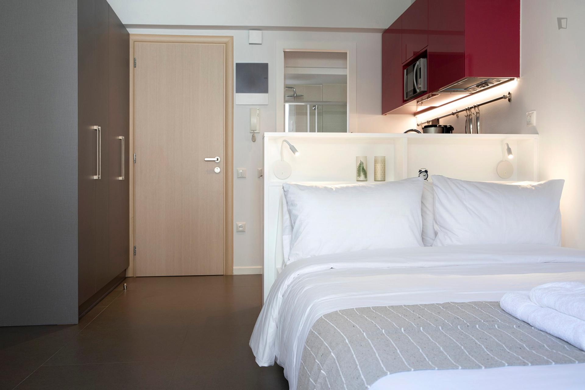 Stylish studio near Alexandras Avenue