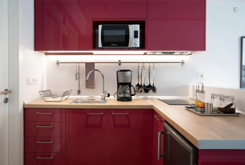 Stylish studio near Alexandras Avenue  - Gallery -  5