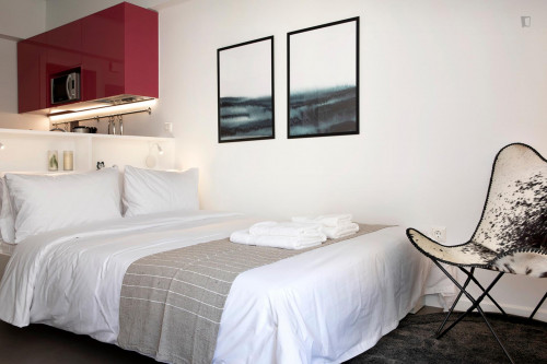  Stylish Studio Near Alexandras Avenue  -  Stylish studio near Alexandras Avenue  - Gallery -  2