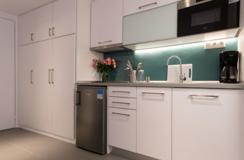 Stylish studio 2 blocks away from the sea, in Palaio Faliro - Gallery - 17