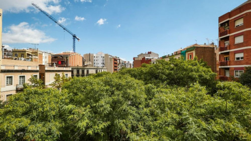 Cool double bedroom in a 5-bedroom apartment near El Clot - Aragó train station - Gallery - 15