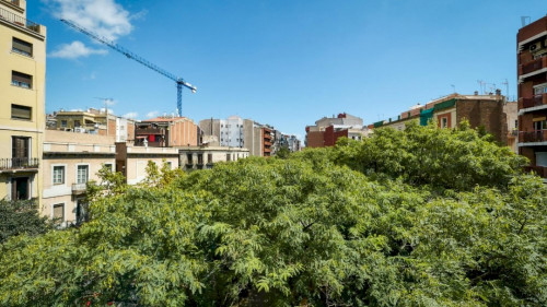 Cool double bedroom in a 5-bedroom apartment near El Clot - Aragó train station - Gallery - 13