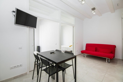 Lovely 2-bedroom apartment close to the Sant Antoni metro station
