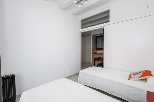 Lovely 2-bedroom apartment close to the Sant Antoni metro station