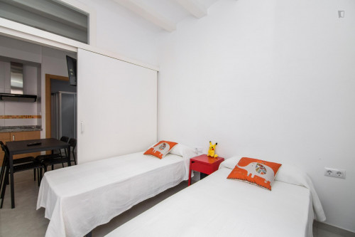 Lovely 2-bedroom apartment close to the Sant Antoni metro station