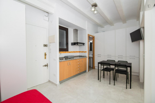 Lovely 2-bedroom apartment close to the Sant Antoni metro station  - Gallery -  5
