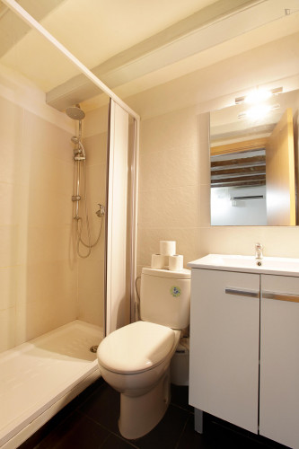 Comfy apartment in near the Universitat Pompeu Fabra - Gallery - 9