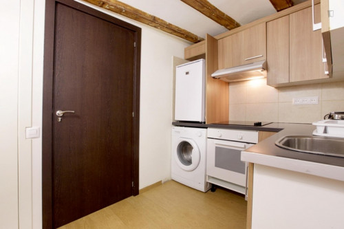 Comfy apartment in near the Universitat Pompeu Fabra - Gallery - 7