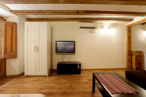 Comfy apartment in near the Universitat Pompeu Fabra